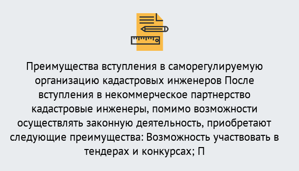 Почему нужно обратиться к нам? Салехард Что дает допуск СРО кадастровых инженеров?