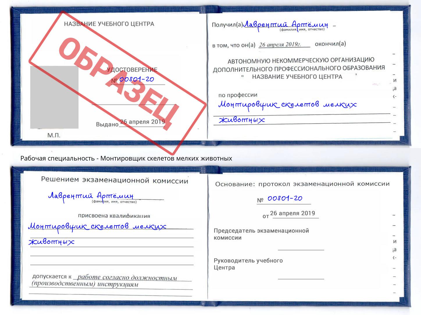 Монтировщик скелетов мелких животных Салехард