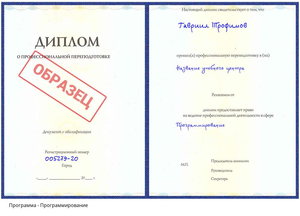 Программирование Салехард