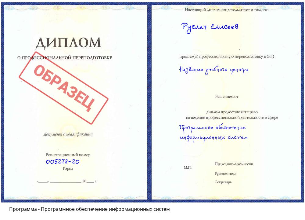 Программное обеспечение информационных систем Салехард