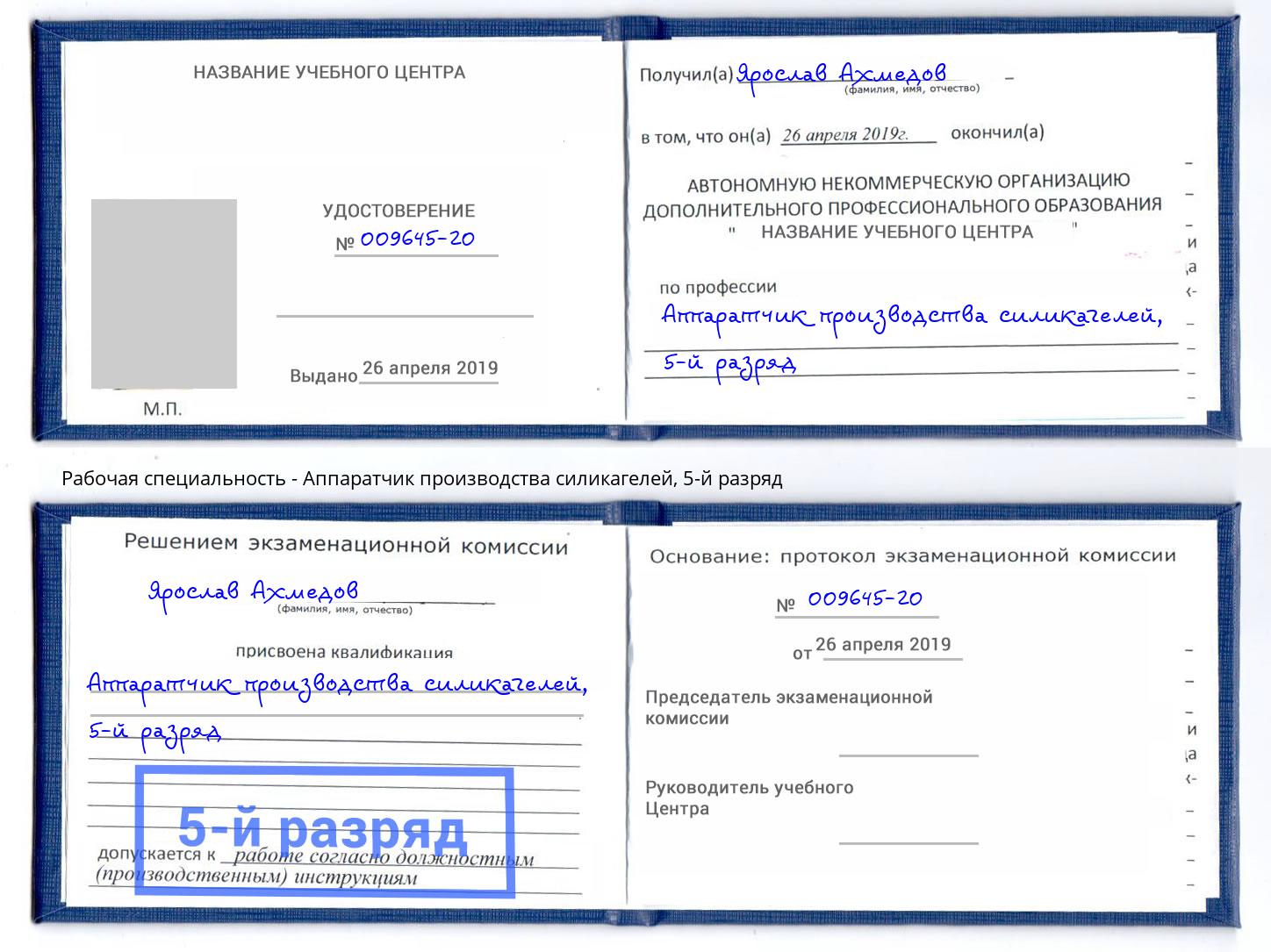 корочка 5-й разряд Аппаратчик производства силикагелей Салехард
