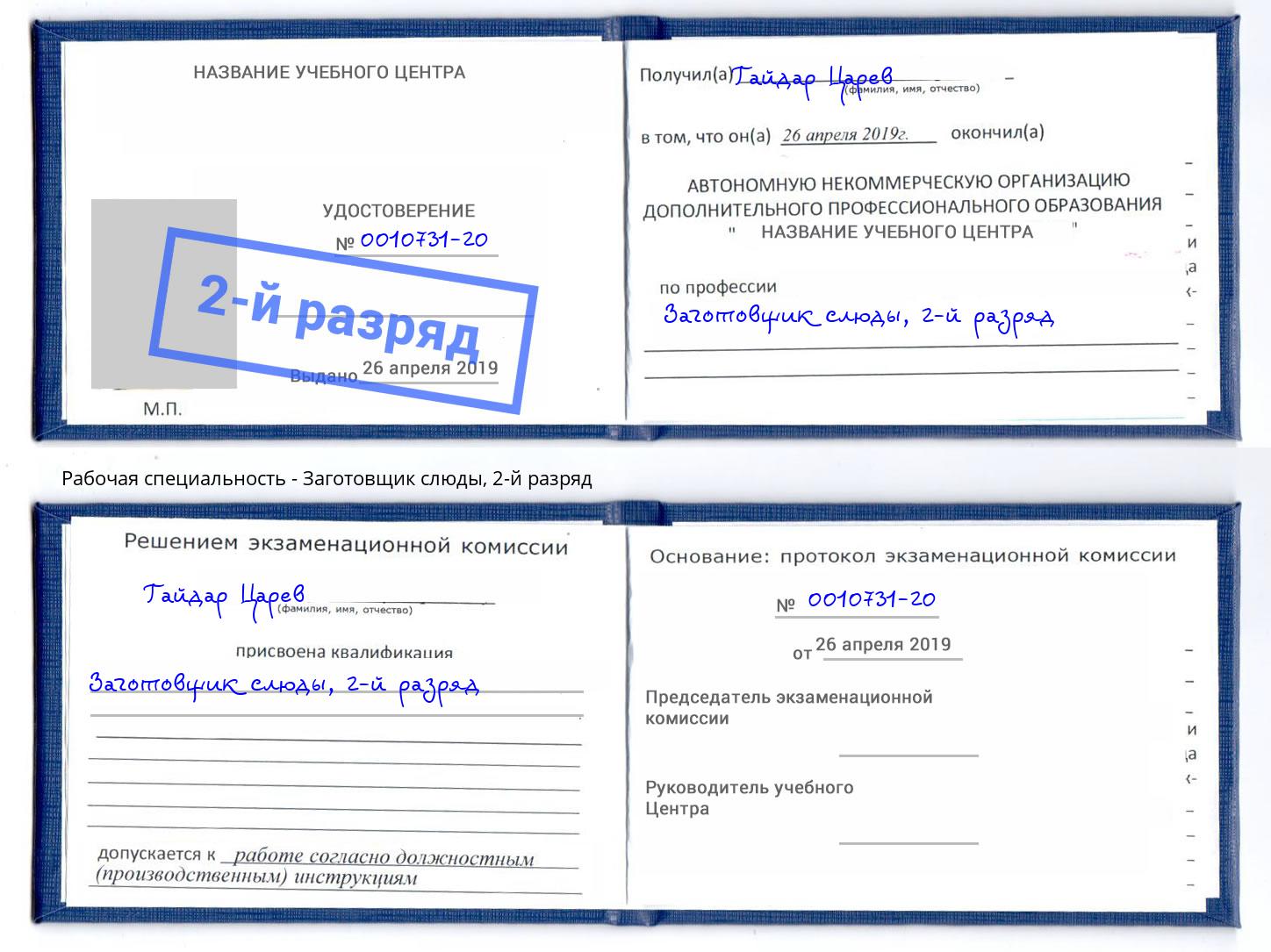 корочка 2-й разряд Заготовщик слюды Салехард
